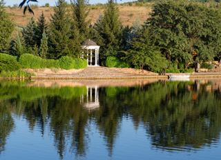 Test Image